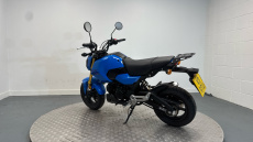 Honda Grom MSX125 (24YM)